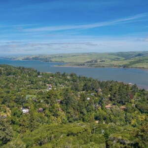 Adoring Sol - Inverness - California Adoring Sol - Inverness - California