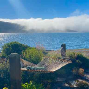 Waterfront - Marshall - California Waterfront - Marshall - California
